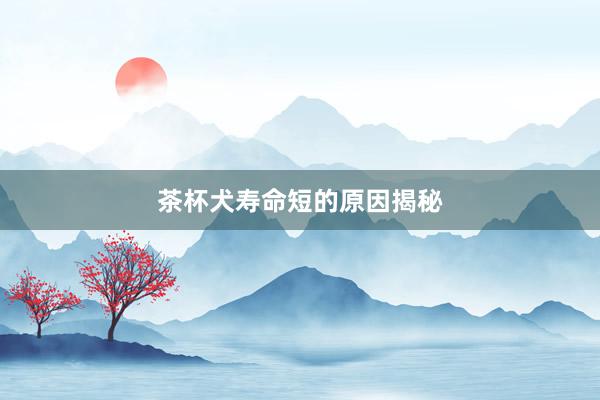 茶杯犬寿命短的原因揭秘