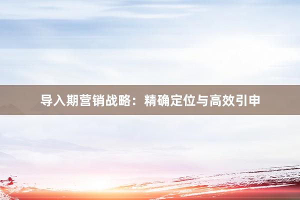 导入期营销战略：精确定位与高效引申